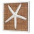Island Shells Starfish Wall Art