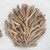 Coastal Driftwood Clam Wall Art