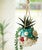 Vivid Blowfish Hanging Planter