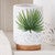 Paradise Palms Tumbler