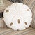 Beige Sand Dollar Pillow