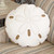 Beige Sand Dollar Pillow