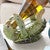 Sea Turtle Wine Bottle Holder