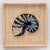 Indigo Nautilus Burlap Framed Wall Art - CLEARANCE