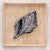 Indigo Conch Burlap Framed Wall Art - CLEARANCE