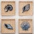 Indigo Conch Burlap Framed Wall Art - CLEARANCE