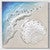 Caribbean Shore Scallop Metal Wall Art
