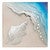 Caribbean Shore Conch Metal Wall Art