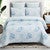 Casablanca Sundial Quilt Bed Set - Queen