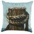 Weathered Dock Post Pillow with Feather Insert
