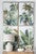 Tropical Foliage Wall Art - Set of 4