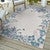 Blue Oasis Indoor/Outdoor Rug - 5 x 7 - OUT OF STOCK UNTIL 05/05/2025