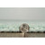 Subdued Bursts Rug - 8 x 10 - OUT OF STOCK UNTIL 05/23/2025