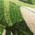 Leafy Retreat Indoor/Outdoor Rug - 2 x 3