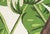 Leafy Retreat Indoor/Outdoor Rug - 9 x 9