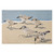 Sandpipers Coastal Hooked Accent Rug - OUT OF STOCK UNTIL 04/17/2025