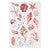Seashell Breeze Kitchen Towels - Set of 4