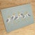 Beach Life Seagulls Hooked Accent Rug - OUT OF STOCK UNTIL 06/26/2025