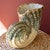 Coiled Seashell Ceramic Vase