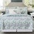 Starfish Frost Pillow