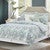 Starfish Frost Pillow
