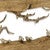 Seaside Flight Wooden Sculpture