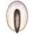 Pearl Hues Wall Sconce - OUT OF STOCK UNTIL 05/01/2025