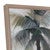 Islander Sailboats Wall Art
