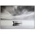 Muted Majesty Wall Art