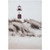 Coastal Grassy Views Wall Art