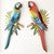 Tropical Parrot Wall Art - Red