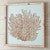 Ocean Reef Framed Wall Art
