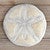 Sand Dollar Metal & Capiz Wall Art - Large