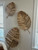 Driftwood Tropical Leaf Wall Art - Set of 3