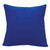 Oceanic Sea Urchin Indoor/Outdoor Pillow