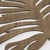 Saltwater Fronds Wall Art - Set of 2