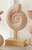 Nautilus Carved Shell Tabletop Sculpture