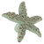 Seafoam Starfish Cabinet Knob