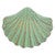 Seafoam Scallop Cabinet Knob