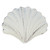 White Washed Scallop Cabinet Knob