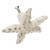 White Washed Starfish Cabinet Knob