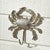 Silver Crab Wall Hook