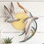 Piping Plover Seabird Circle Wall Art