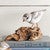 Coastal Bird Driftwood Sculpture