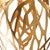 Golden Foliage Pendant Light