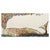 Kaleidoscope Blowhole Whale Canvas Art