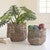 Island Time Seagrass Scalloped Baskets - Set of 2