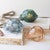 Seven Seas Glass Fish Candle Holders (3pc)