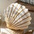 Scallop Hooked Wool Pillow