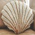 Sea Scallop Hooked Wool Pillow